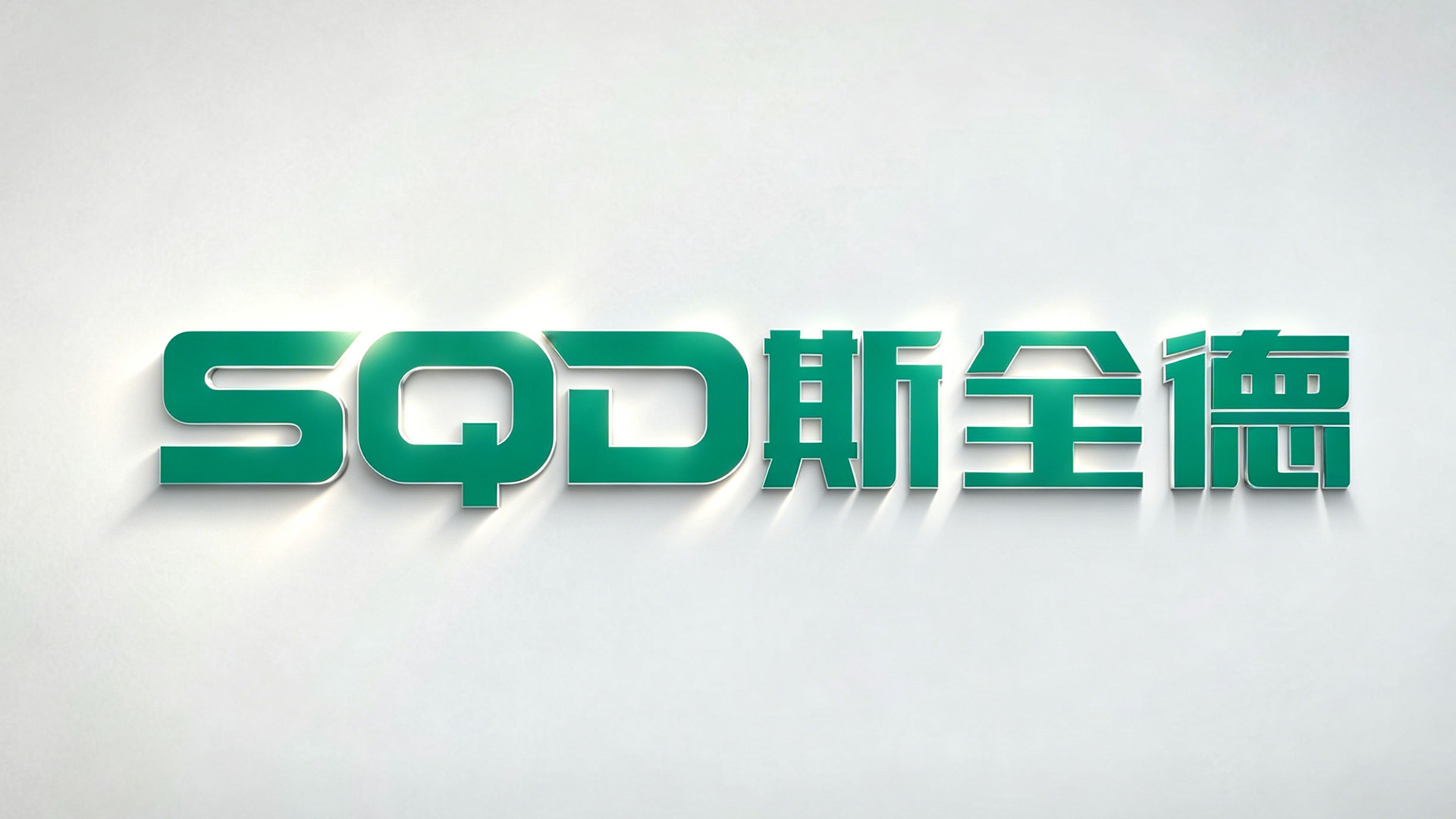 斯全德宣传视频
